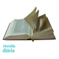 Homilia diária